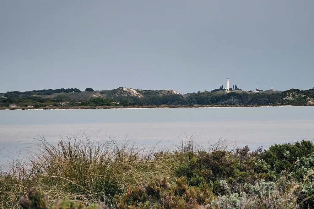 image_1742030823_1901123485.webp