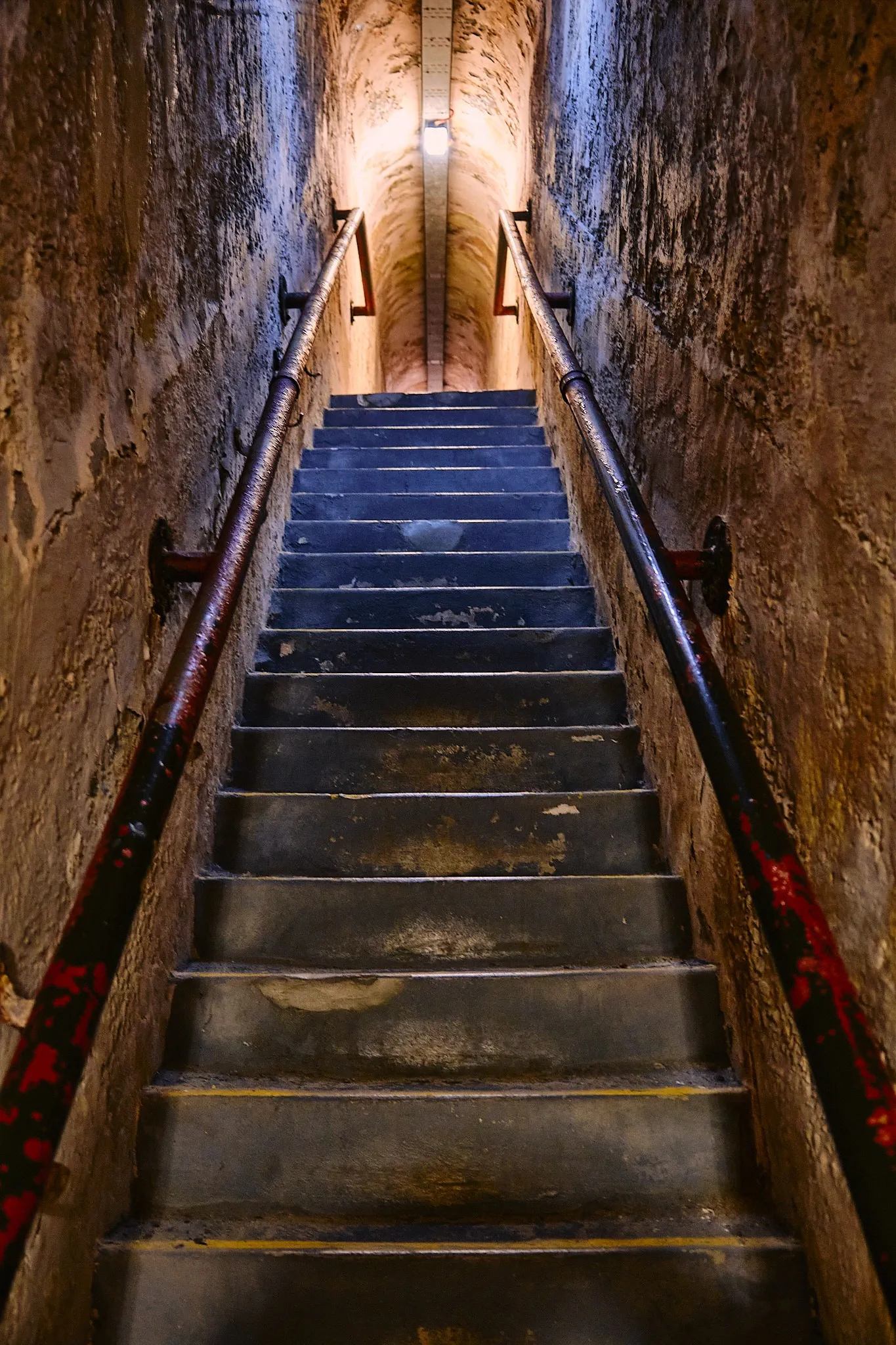image_1742030824_1842105503.webp
