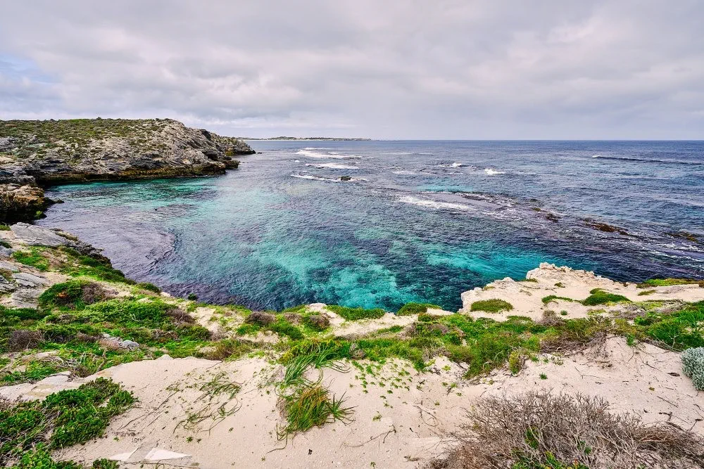 image_1742030824_445741899.webp