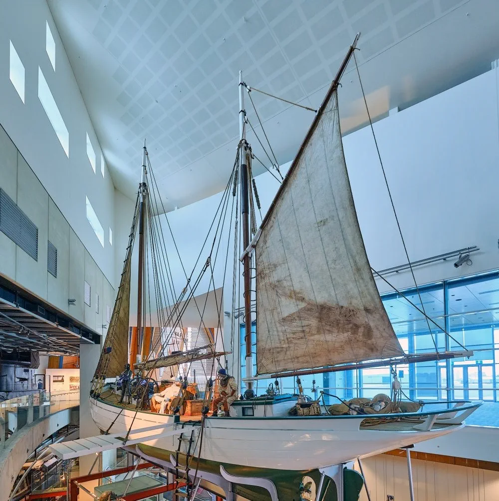 image_1742030825_958503872.webp