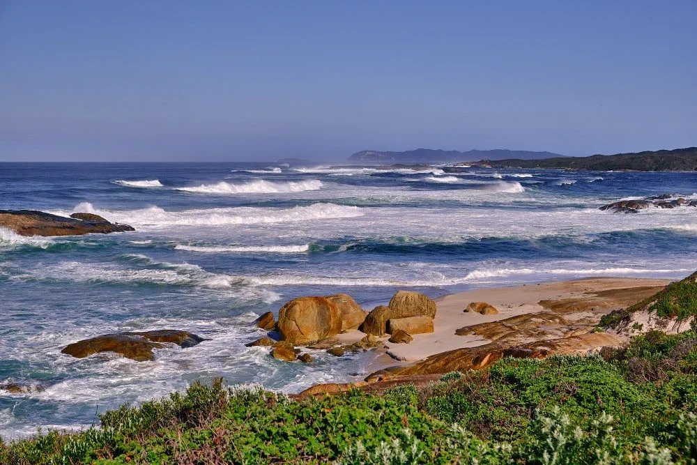 image_1742030826_1443883548.webp