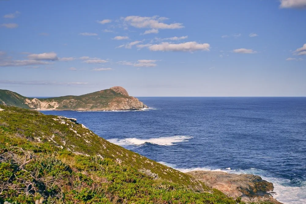 image_1742030826_641922677.webp
