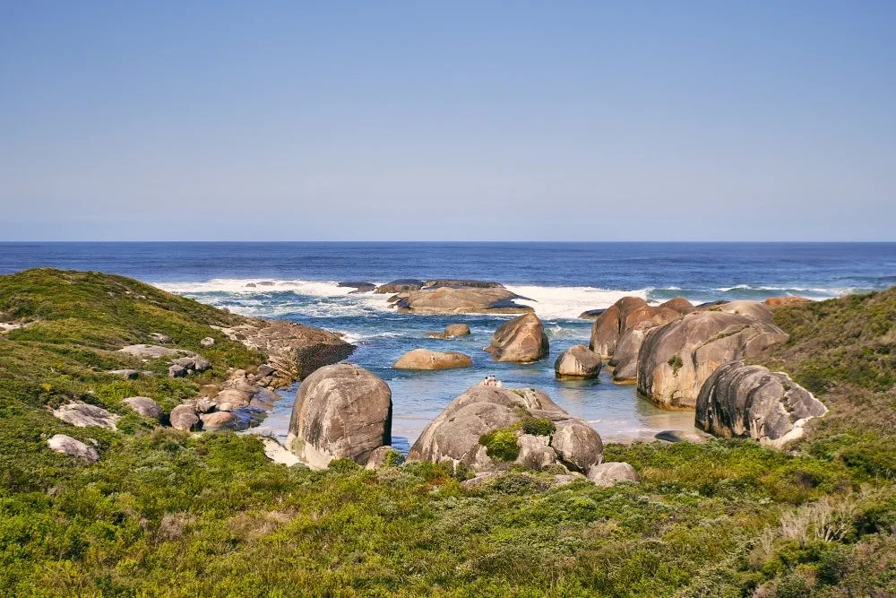 image_1742030826_652503473.webp