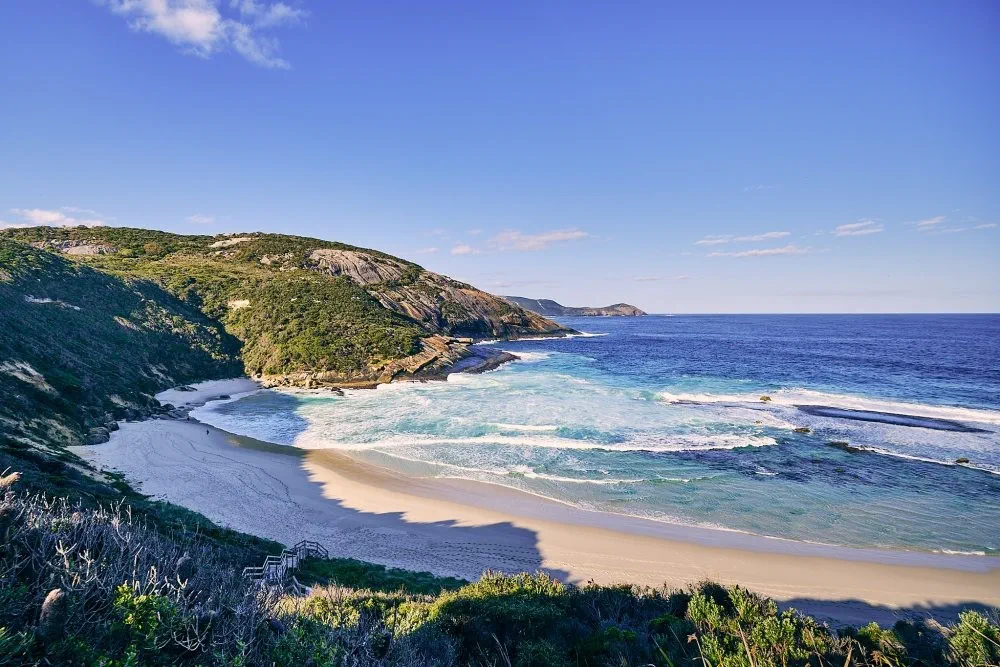 image_1742030826_966242267.webp