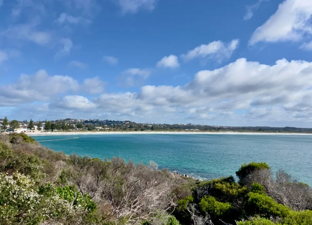 image_1742030827_1397567978.webp