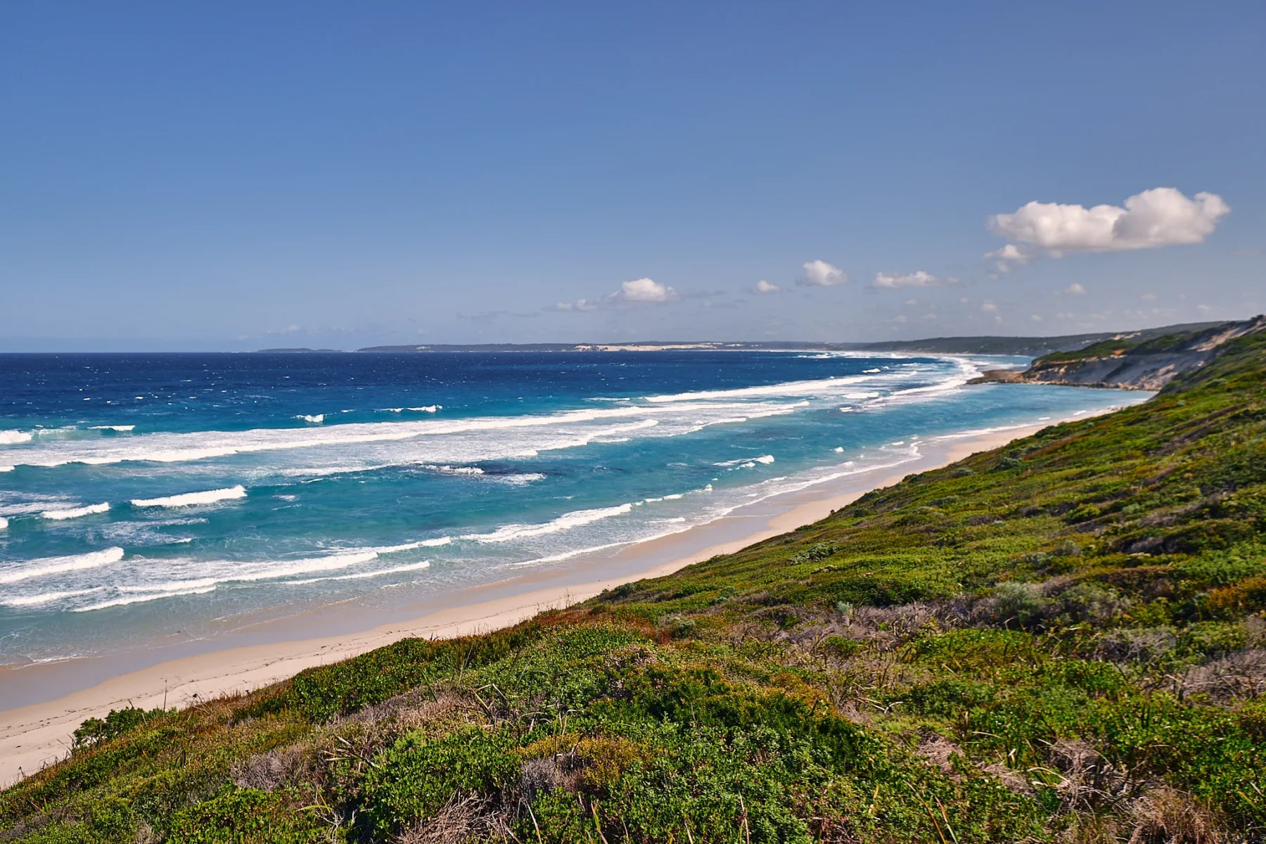 image_1742030828_657898843.webp