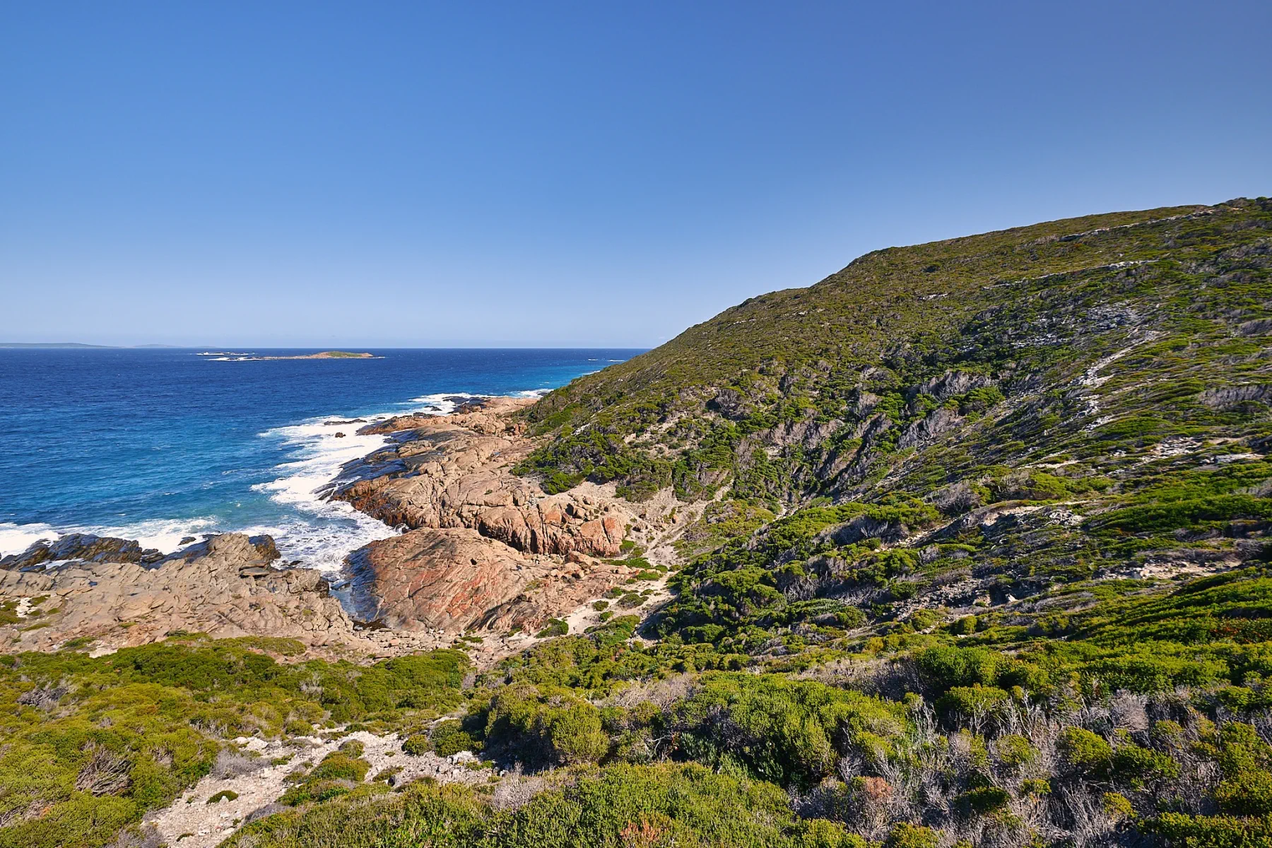 image_1742030828_781387382.webp