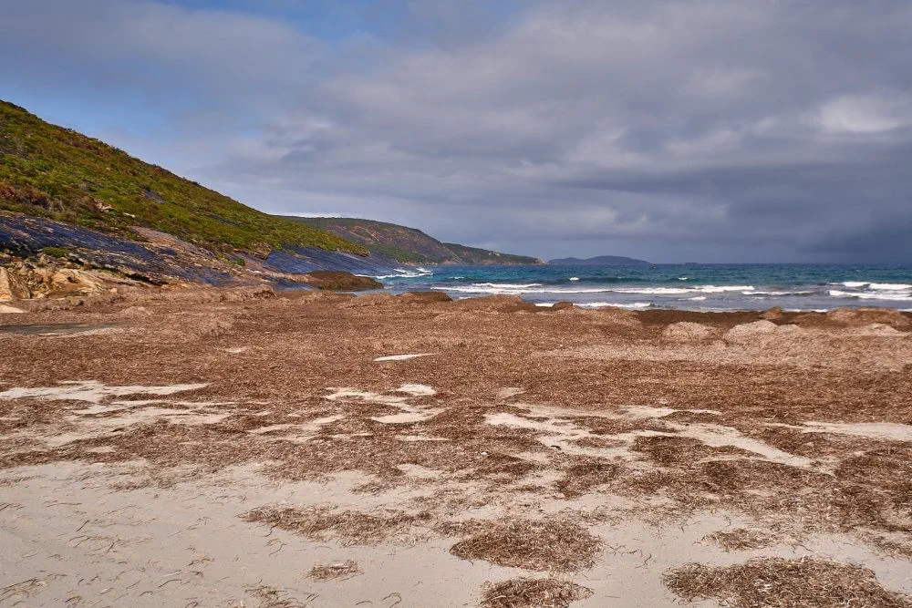 image_1742030829_1145539851.webp
