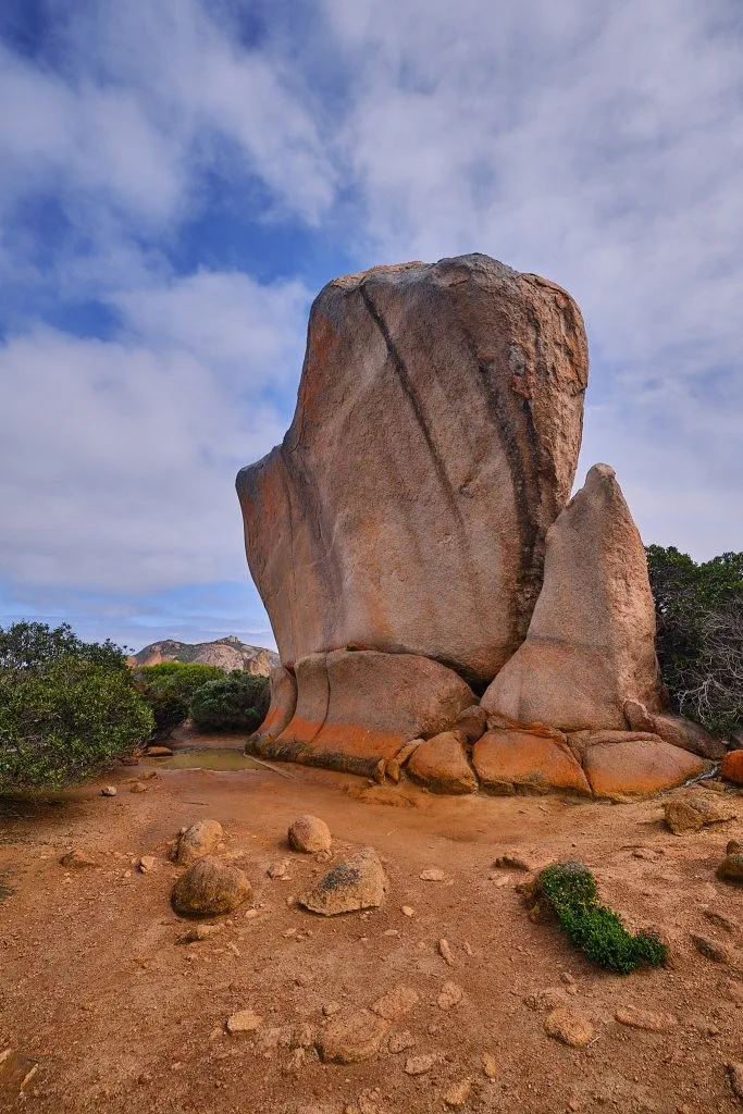 image_1742030829_1646800307.webp