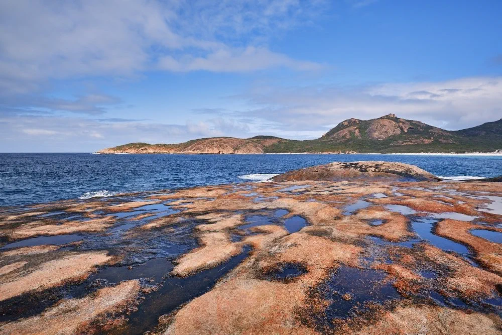 image_1742030829_1842015977.webp