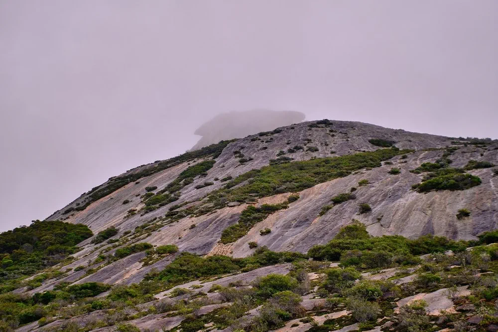 image_1742030829_2131109380.webp