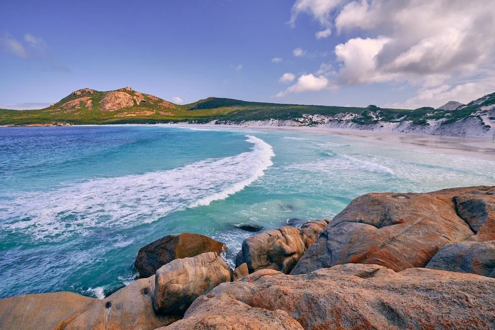 image_1742030829_744045589.webp