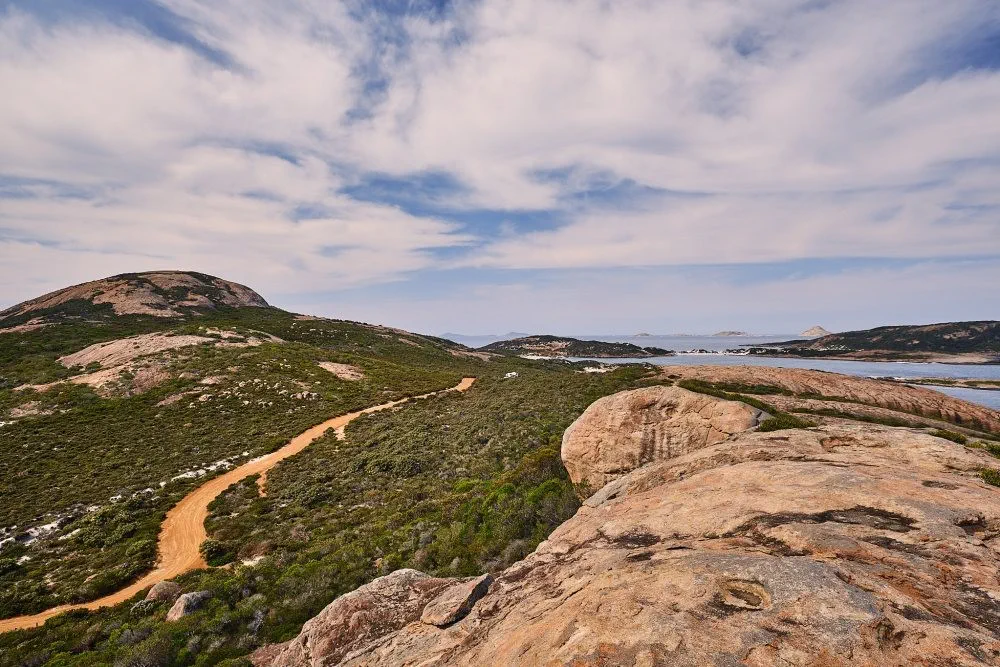 image_1742030830_1331522494.webp