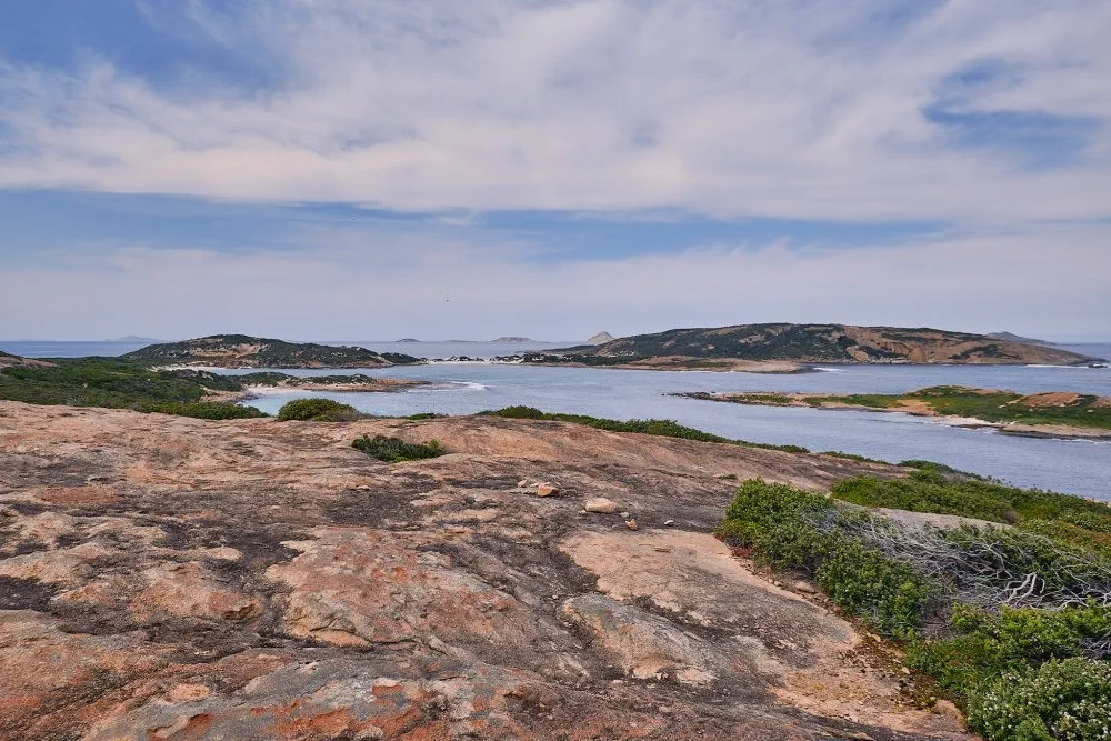 image_1742030830_488581813.webp