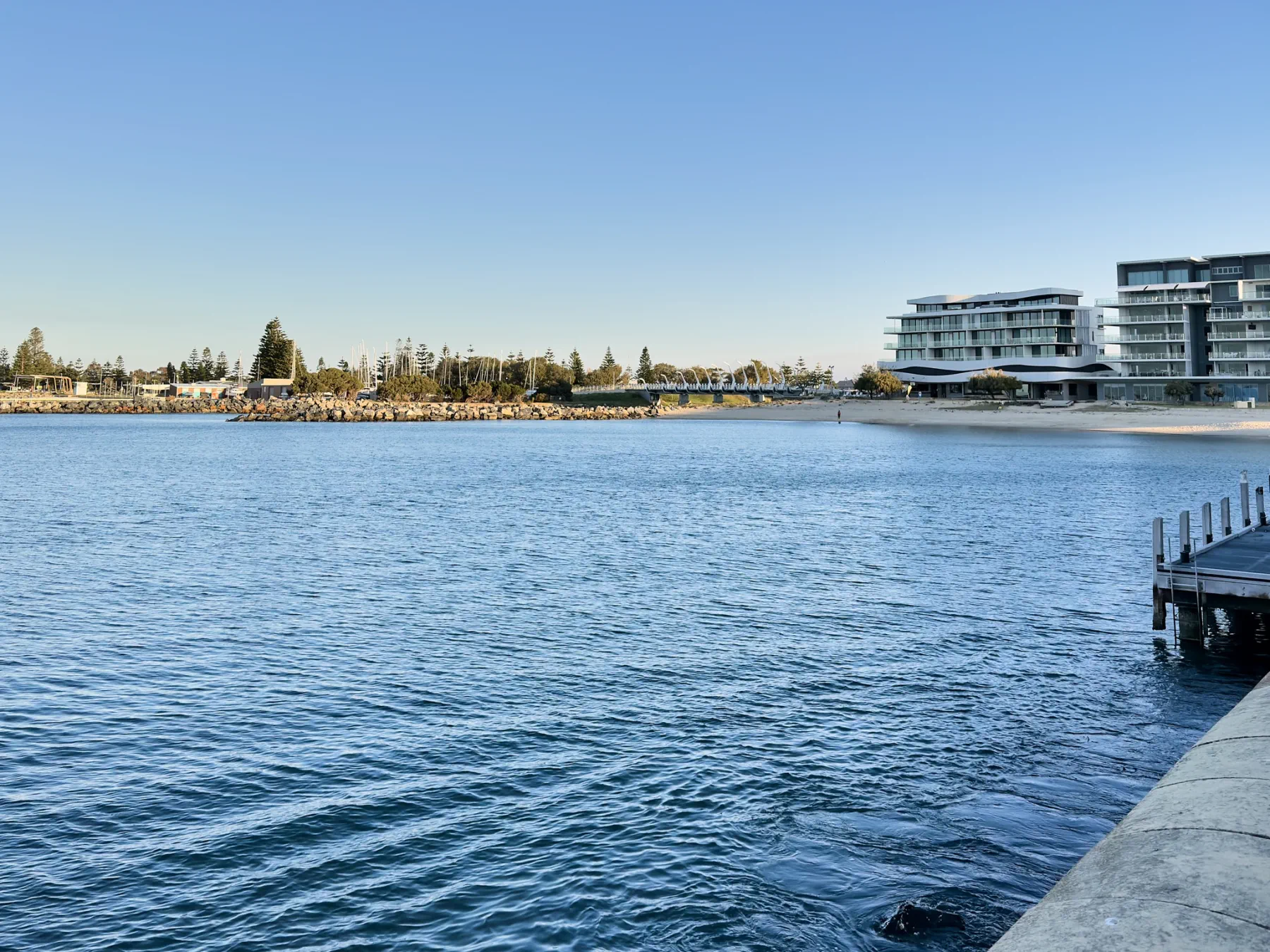 image_1742030832_415879528.webp