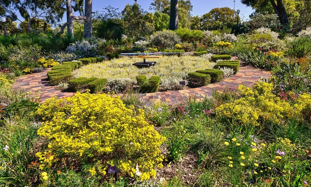 image_1742030832_539276395.webp