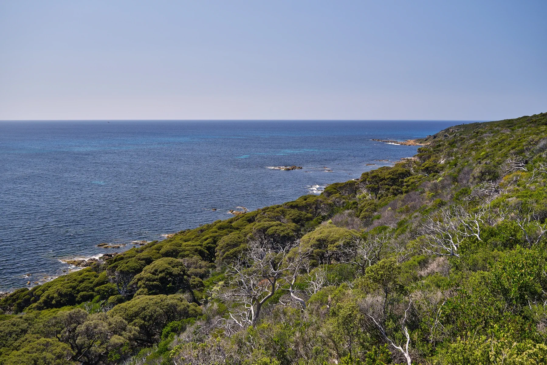 image_1742030835_1247093658.webp