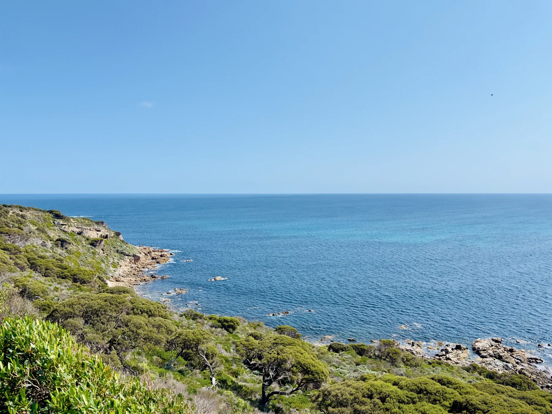 image_1742030835_1566665750.webp
