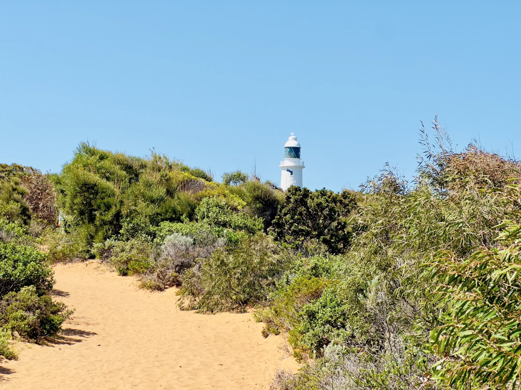 image_1742030835_2016761664.webp