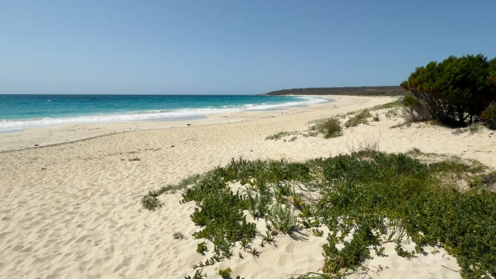 image_1742030836_2046073650.webp
