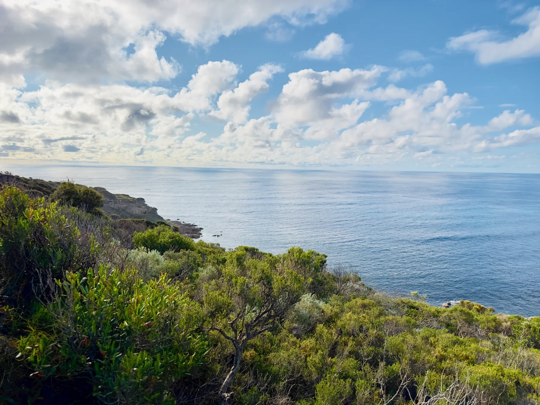 image_1742030837_1839188764.webp