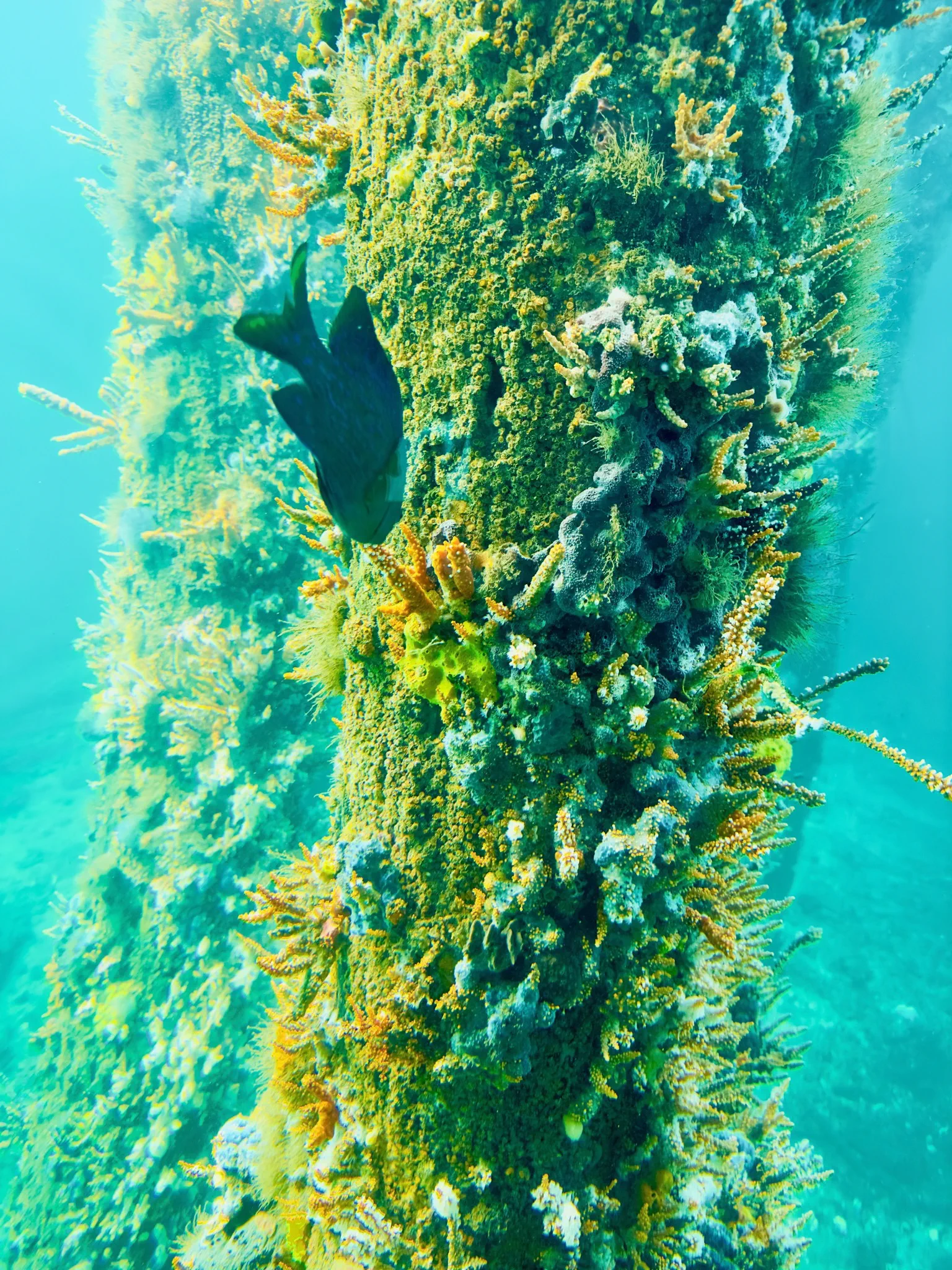 image_1742030839_1406522358.webp