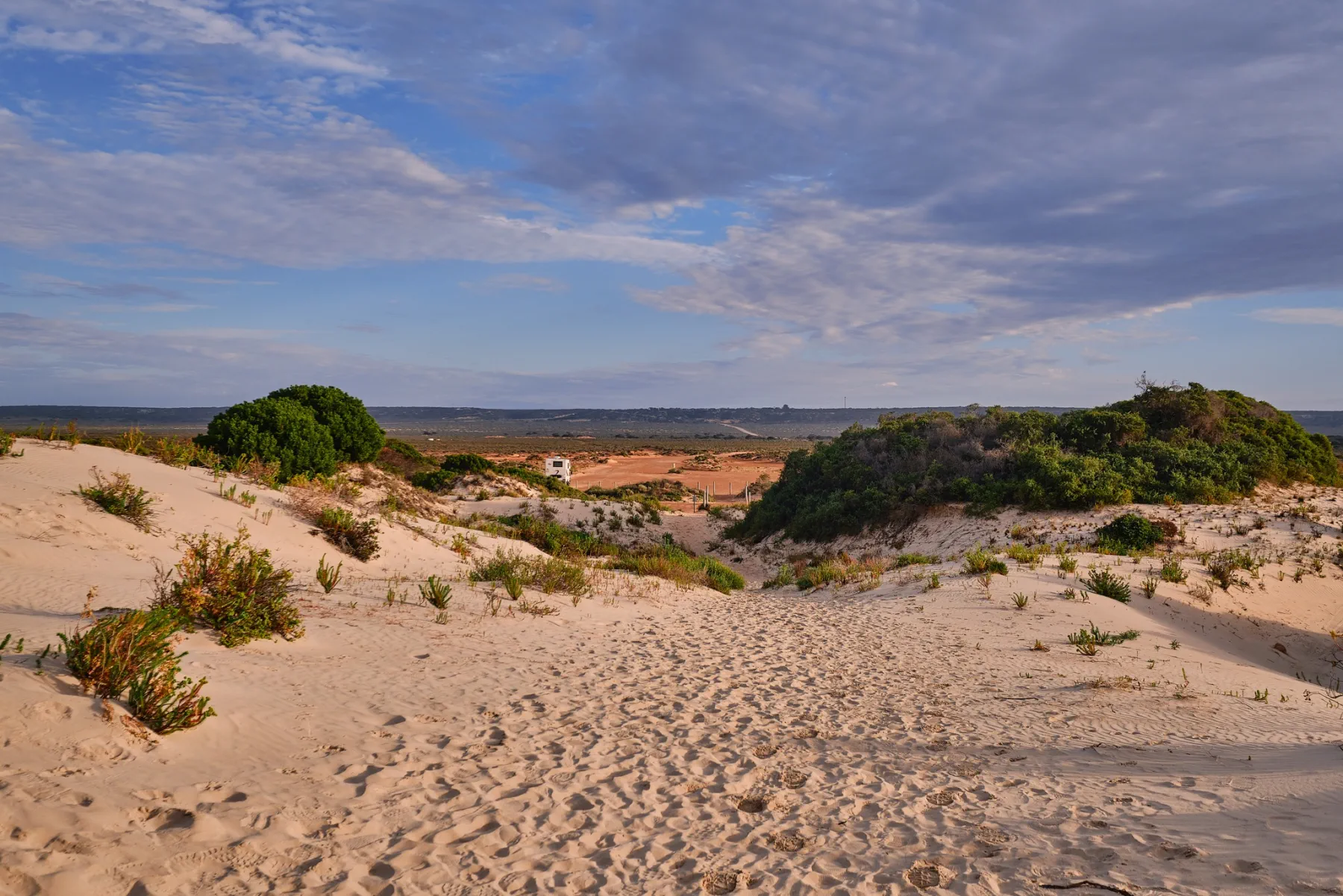 image_1742030843_1865140111.webp