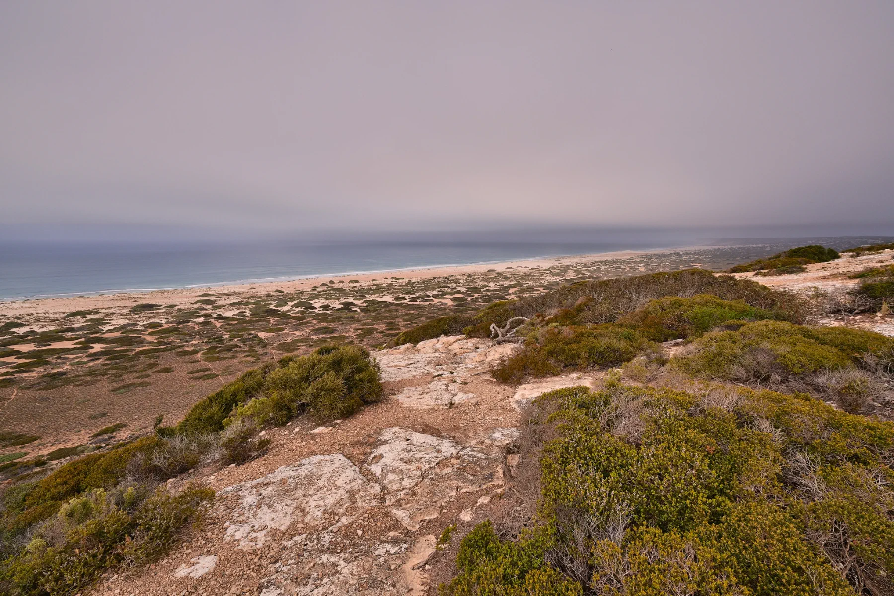 image_1742030844_43022538.webp