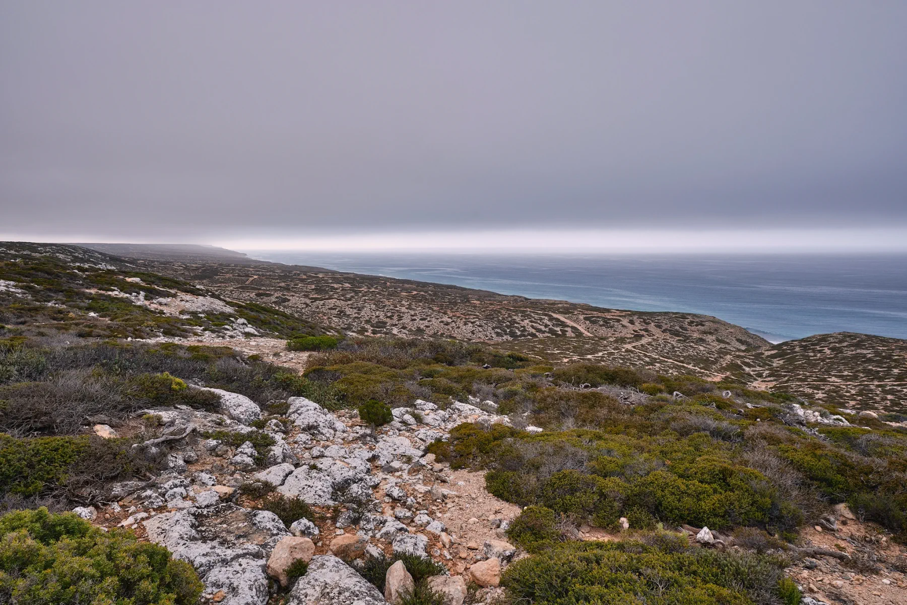 image_1742030844_992619520.webp