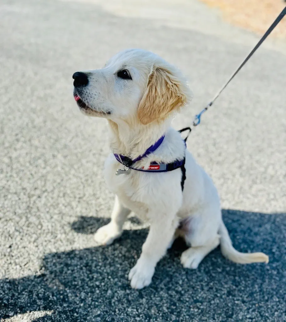 image_1742030848_1927992494.webp