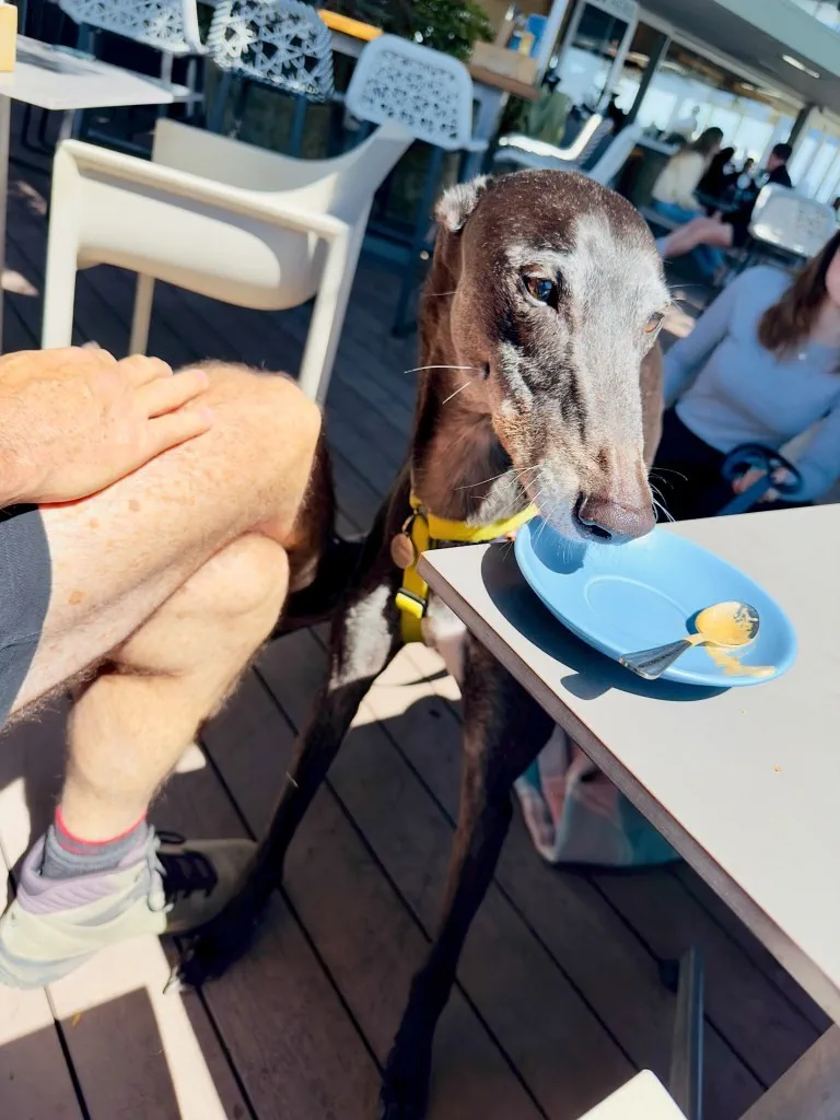 image_1742030848_787369238.webp