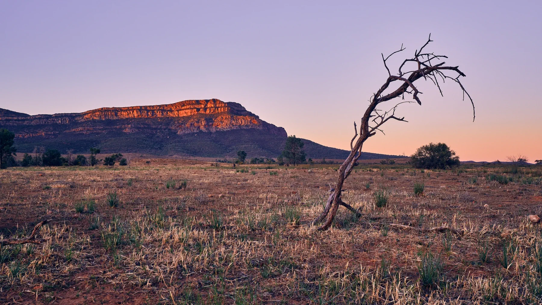 image_1742030849_1340868231.webp