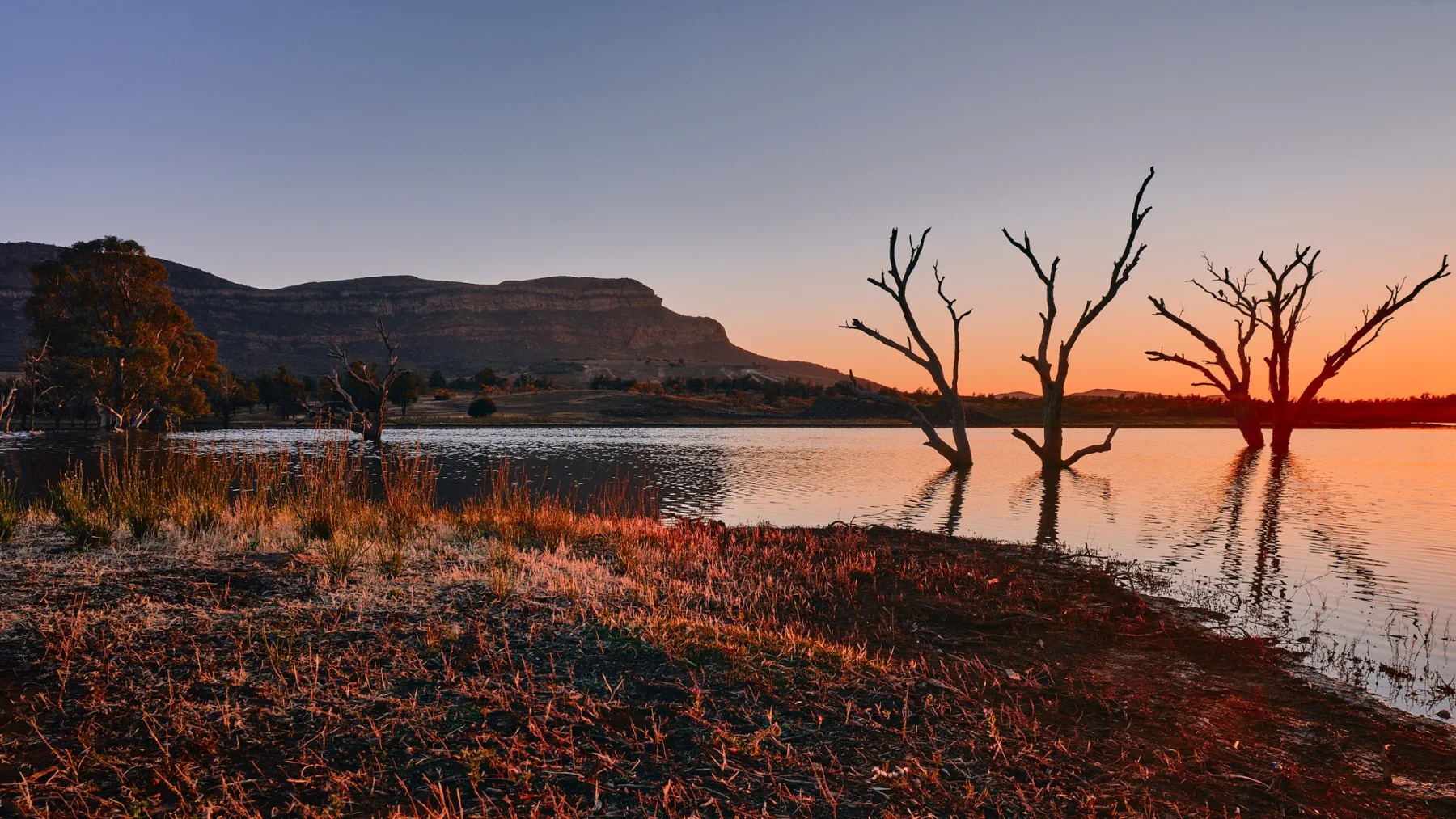 image_1742030850_157949522.webp