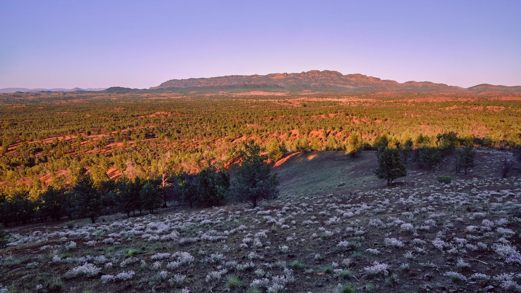 image_1742030850_1877790630.webp