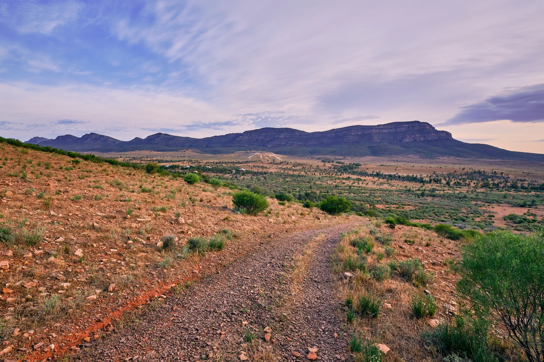 image_1742030851_73388498.webp