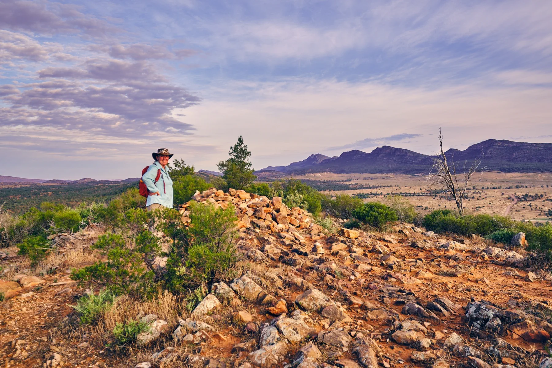 image_1742030852_1246981038.webp