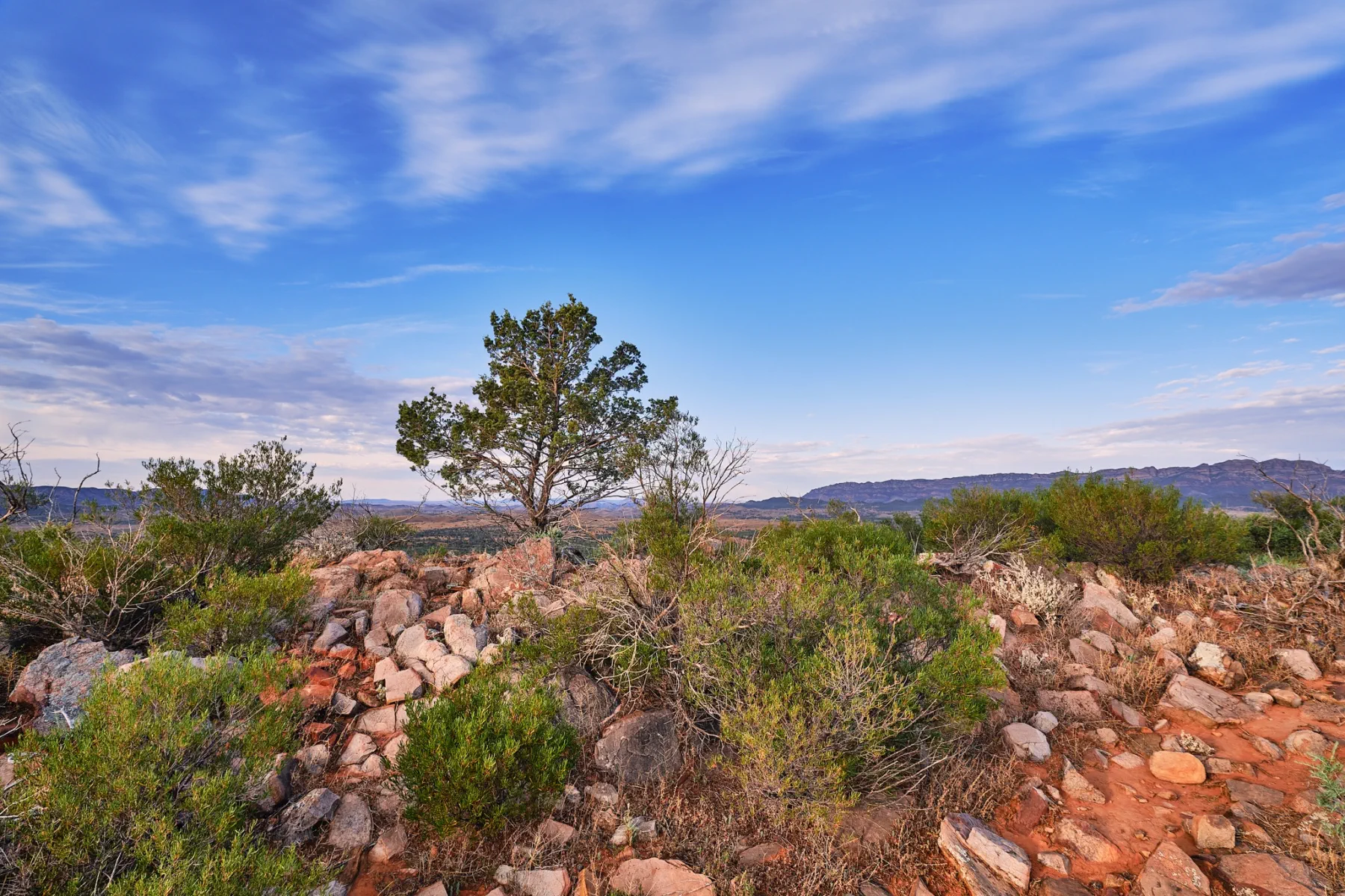 image_1742030852_1492731687.webp