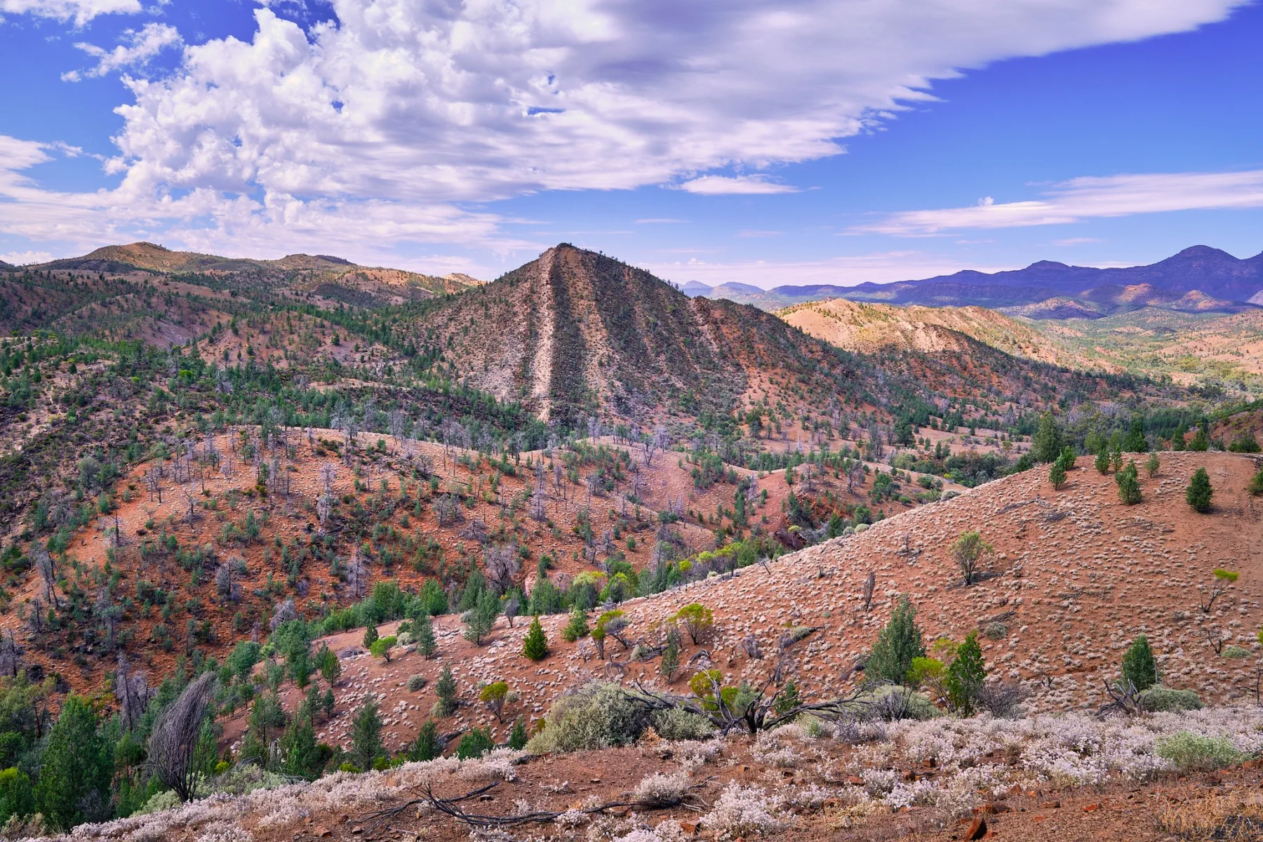 image_1742030854_330230838.webp