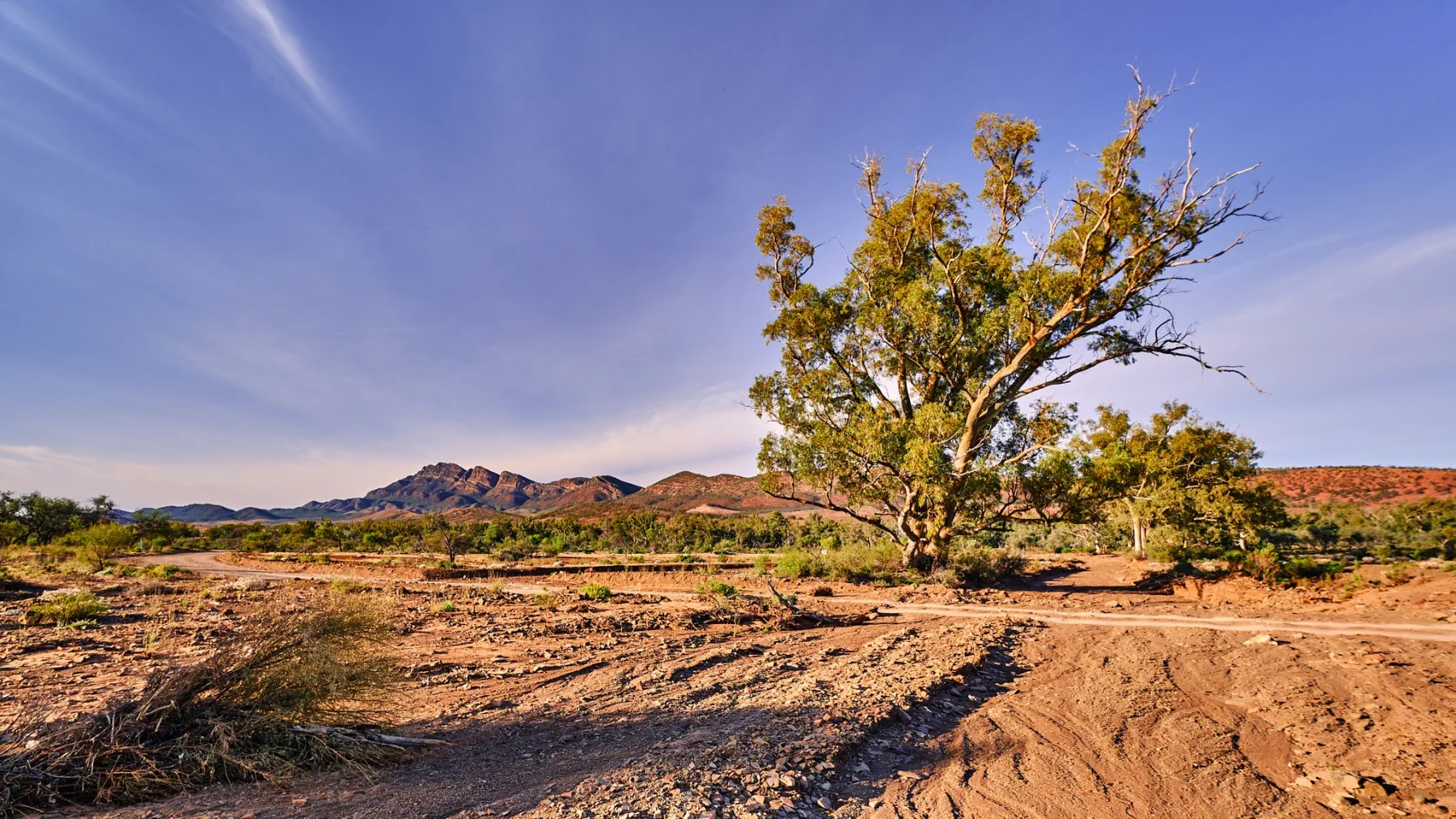 image_1742030855_1318365052.webp