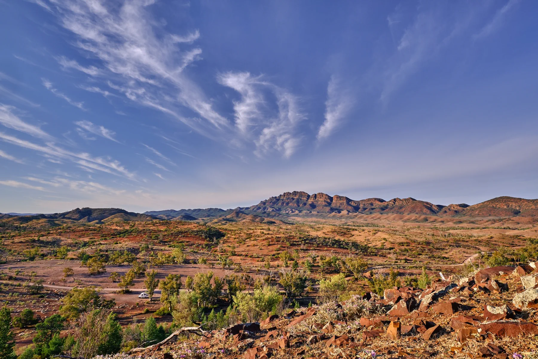 image_1742030855_1451421561.webp