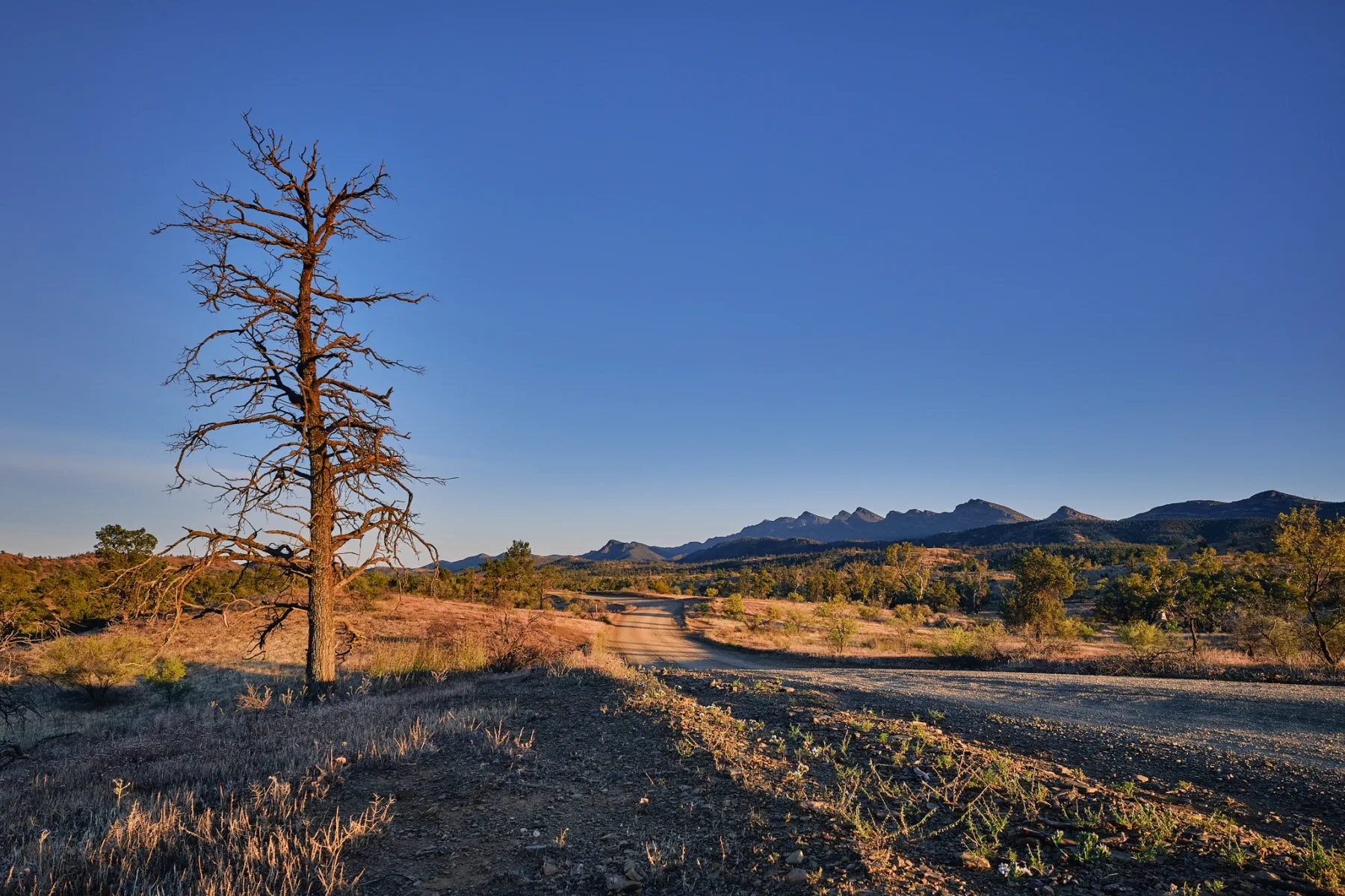 image_1742030855_1533829475.webp