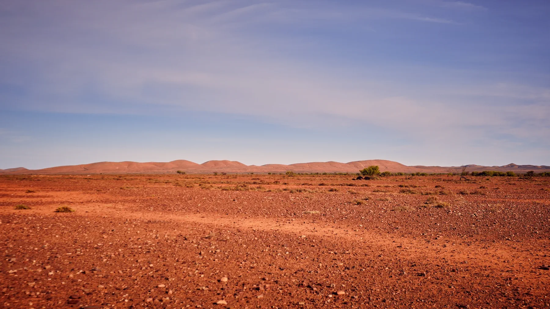 image_1742030856_167681558.webp