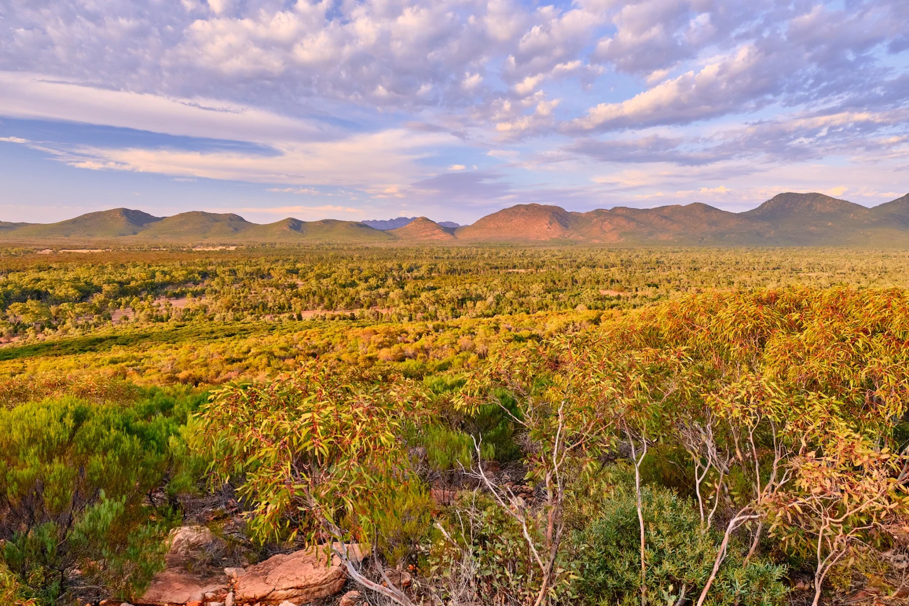 image_1742030857_56713293.webp