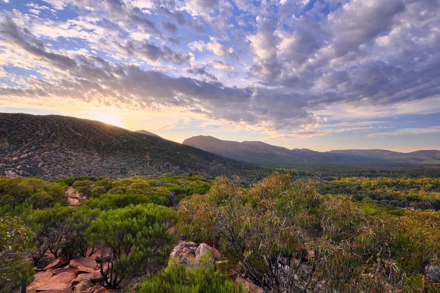 image_1742030857_860526954.webp