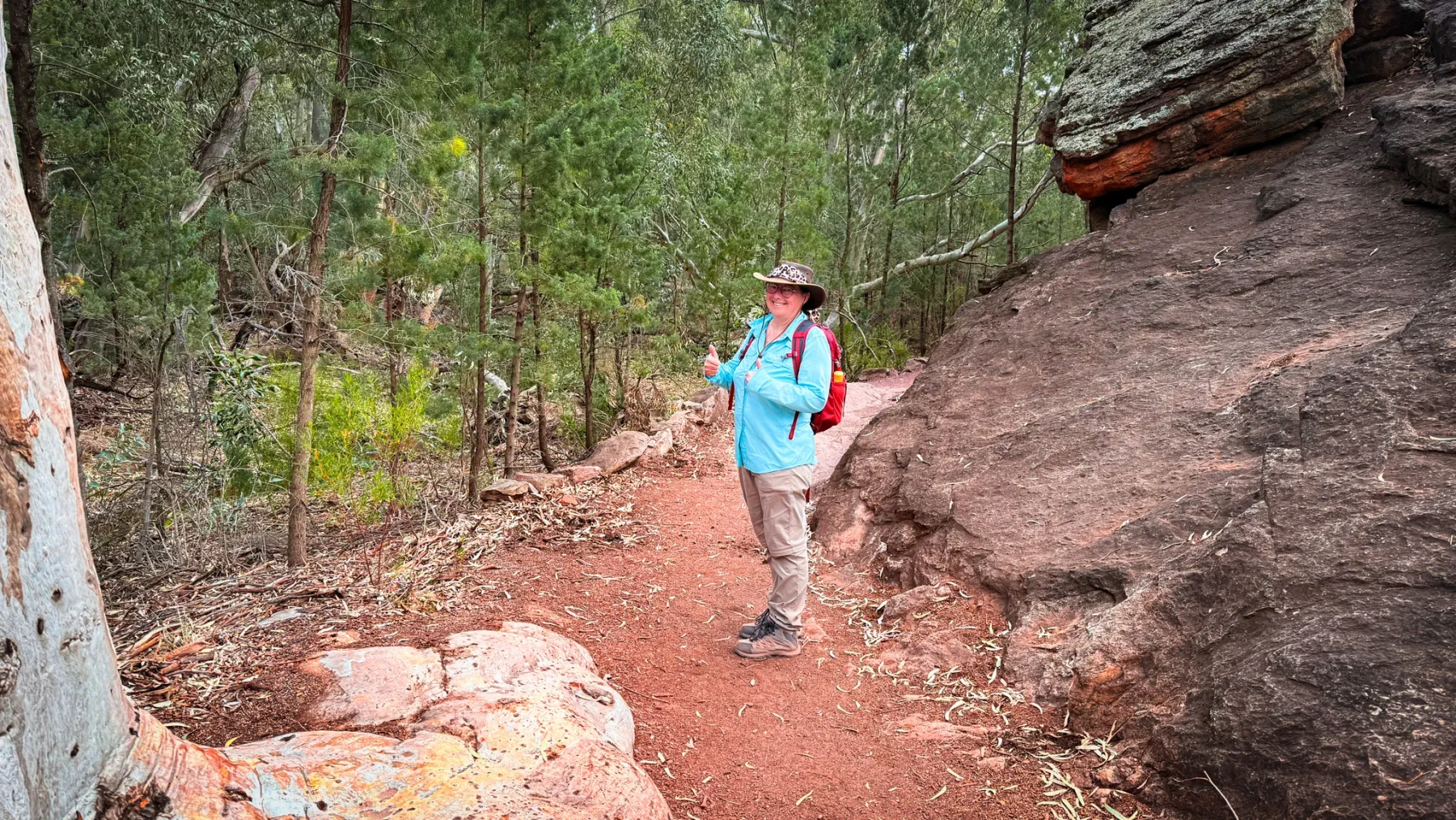 image_1742030858_1482526718.webp