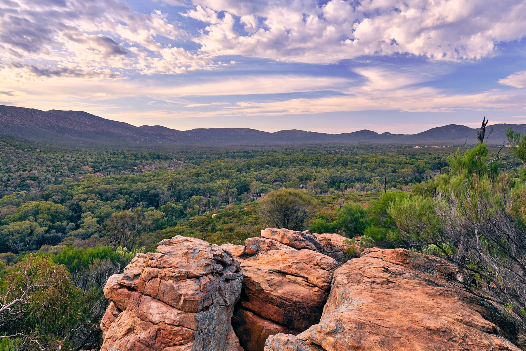 image_1742030858_1506114666.webp