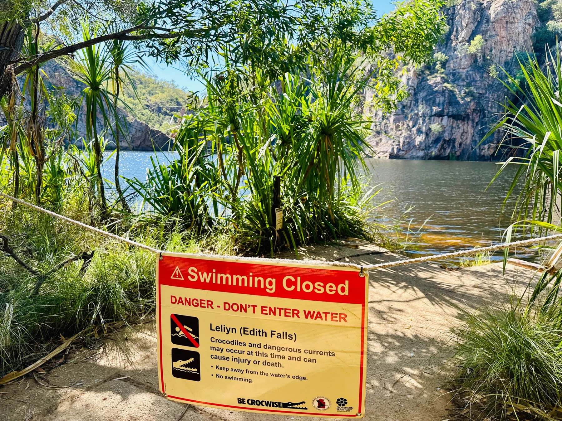 image_1742030868_1357198619.webp