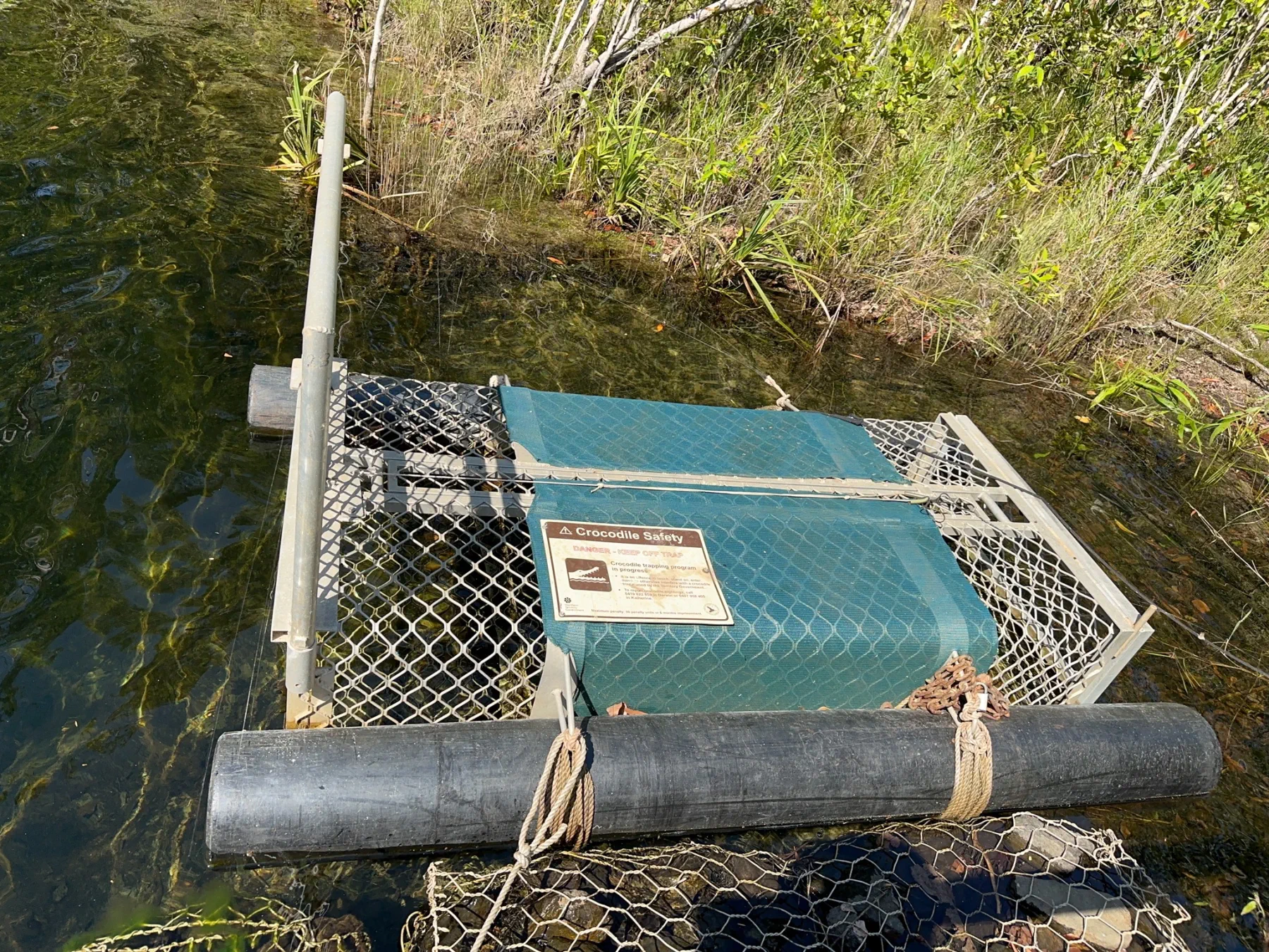 image_1742030870_1466568425.webp