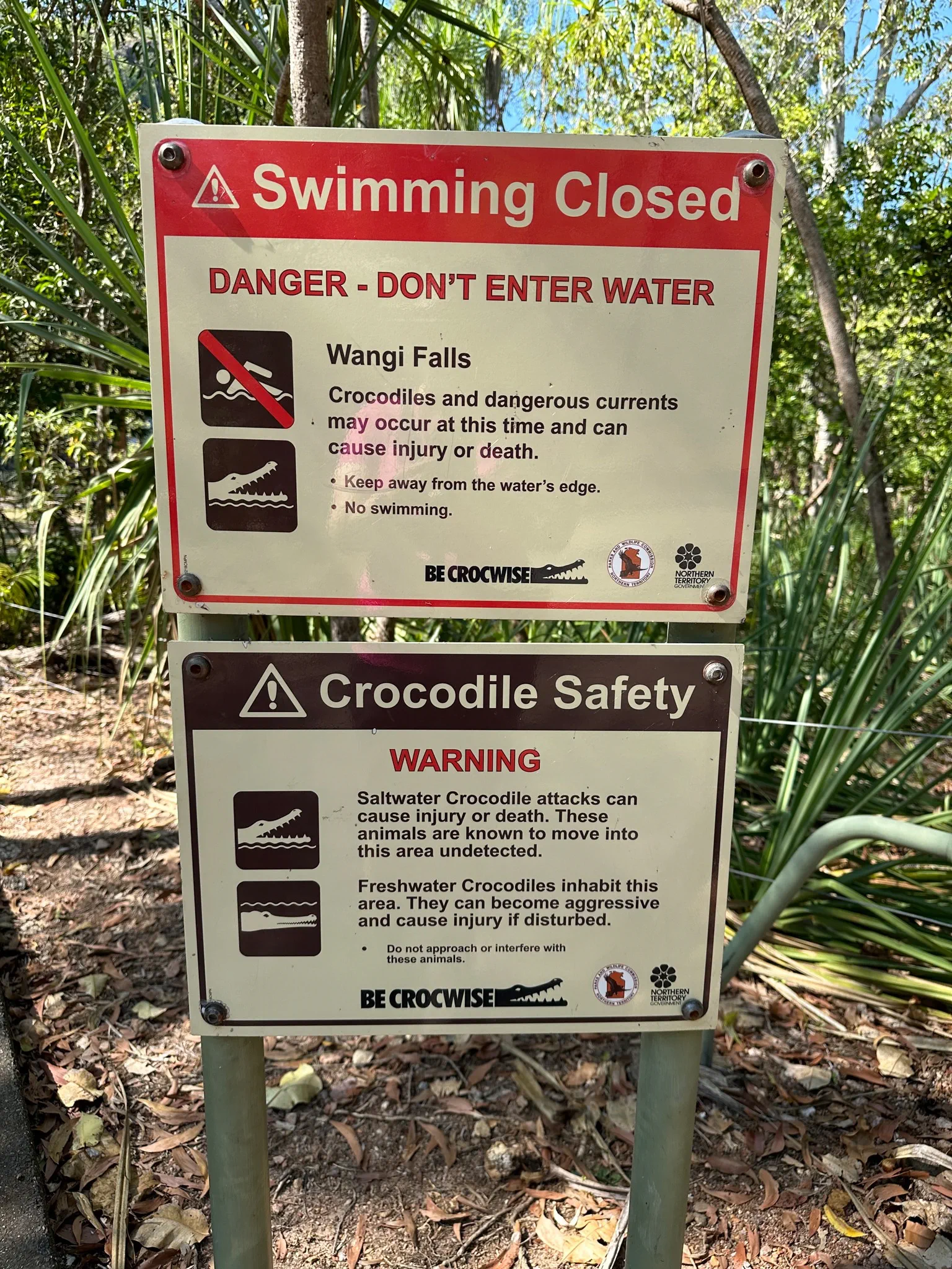 image_1742030870_175028229.webp