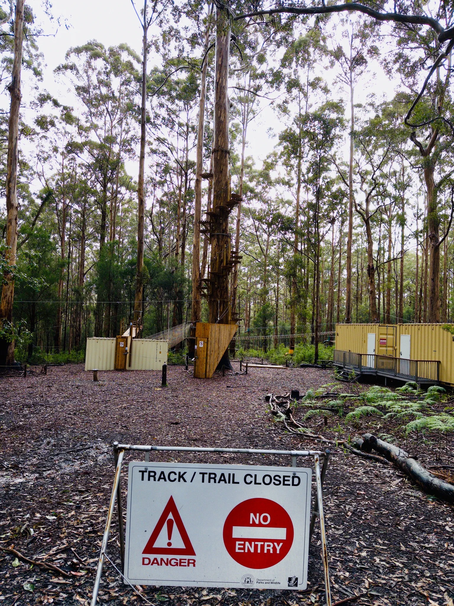 image_1742030874_1848255501.webp